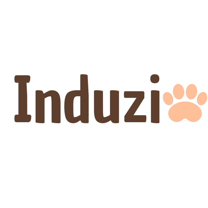 Induzi 