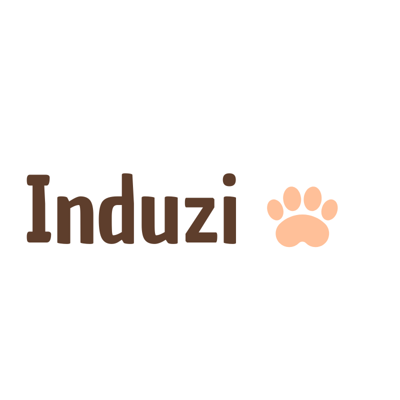 Induzi 